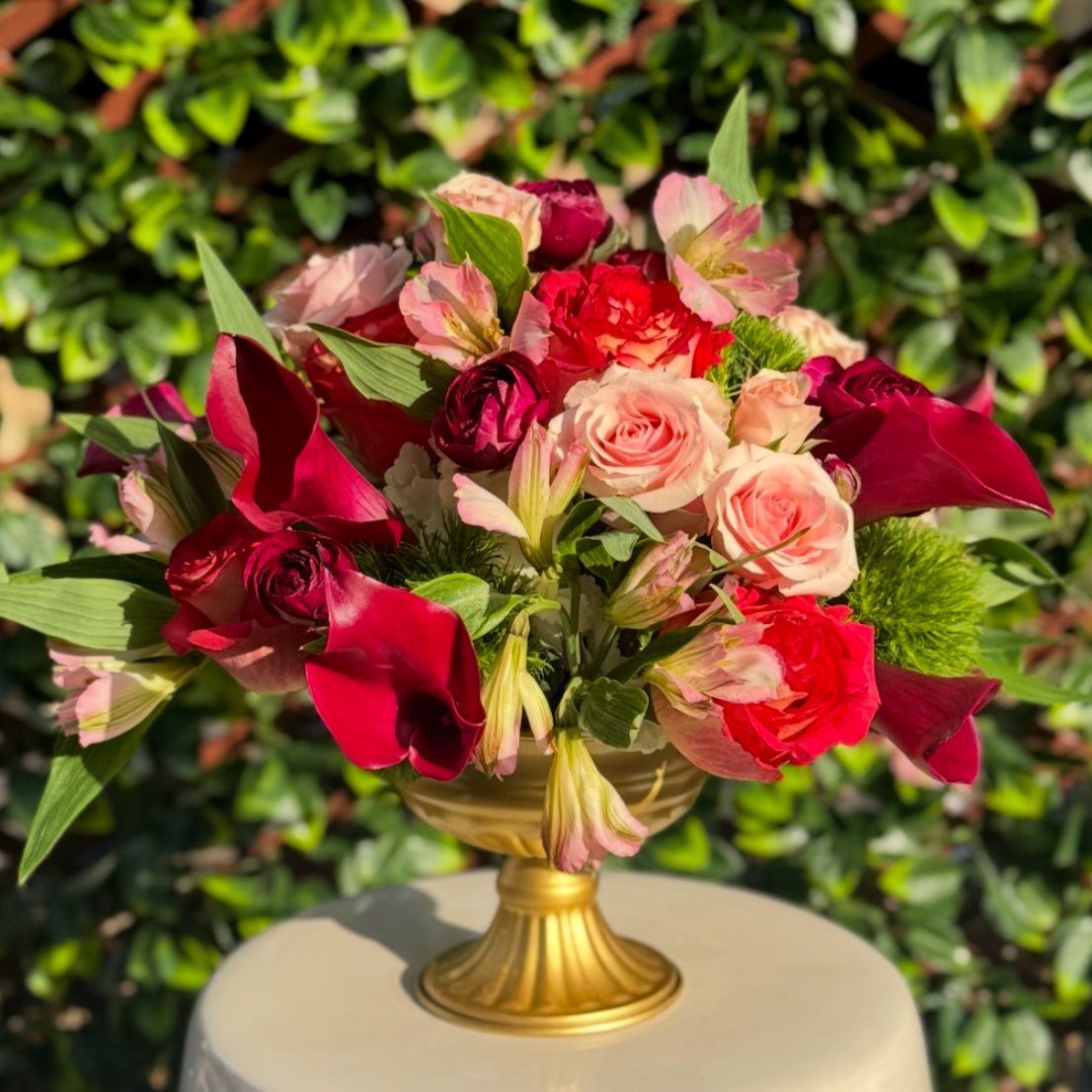 Elevated Arrangement